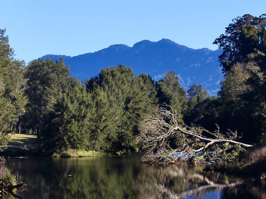Bellinger River valley